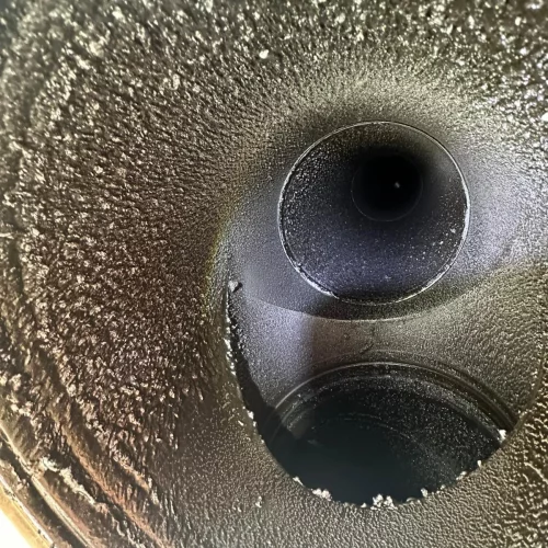 WhatsApp Image 2026-03-10 at 10.56.52 (2)_3_11zon