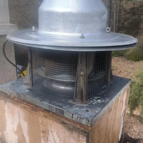 WhatsApp Image 2026-03-10 at 11.03.59 (2)_6_11zon