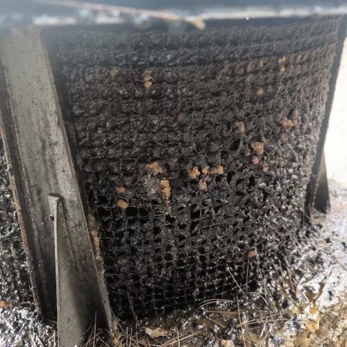 WhatsApp Image 2026-03-10 at 11.04.00 (1)_1_11zon